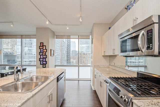 kitchen featuring appliances with stainless steel finishes, sink, dark hardwood / wood-style flooring, and light stone countertops