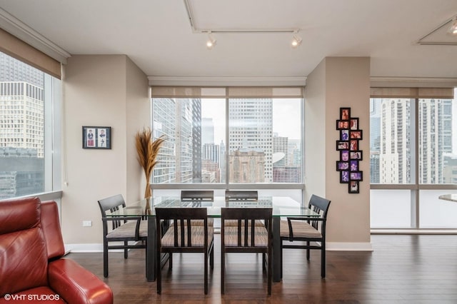 dining area with a wall of windows, track lighting, and dark hardwood / wood-style flooring