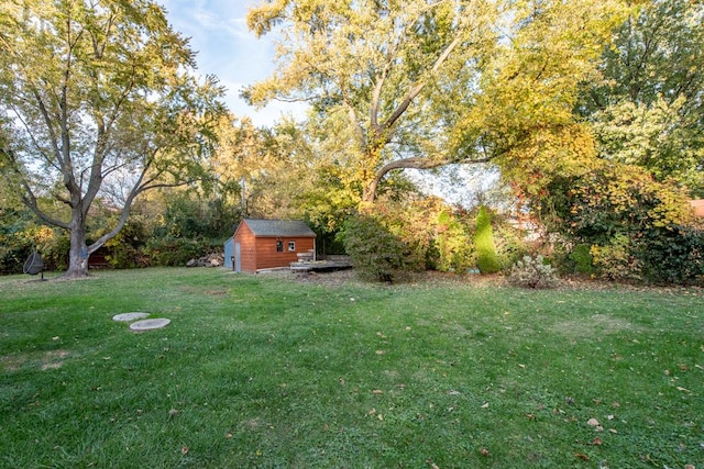 view of yard with a storage unit