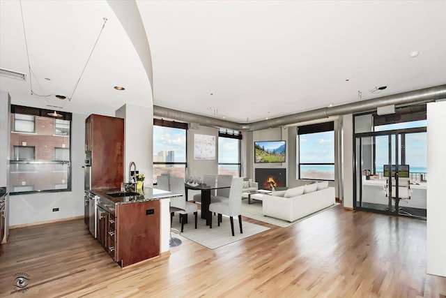 interior space featuring a healthy amount of sunlight and light wood-style flooring