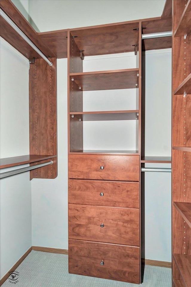 spacious closet featuring carpet floors