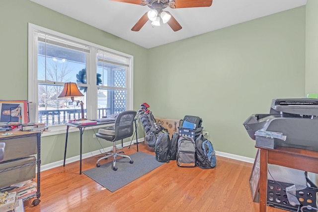 office with ceiling fan and light hardwood / wood-style flooring