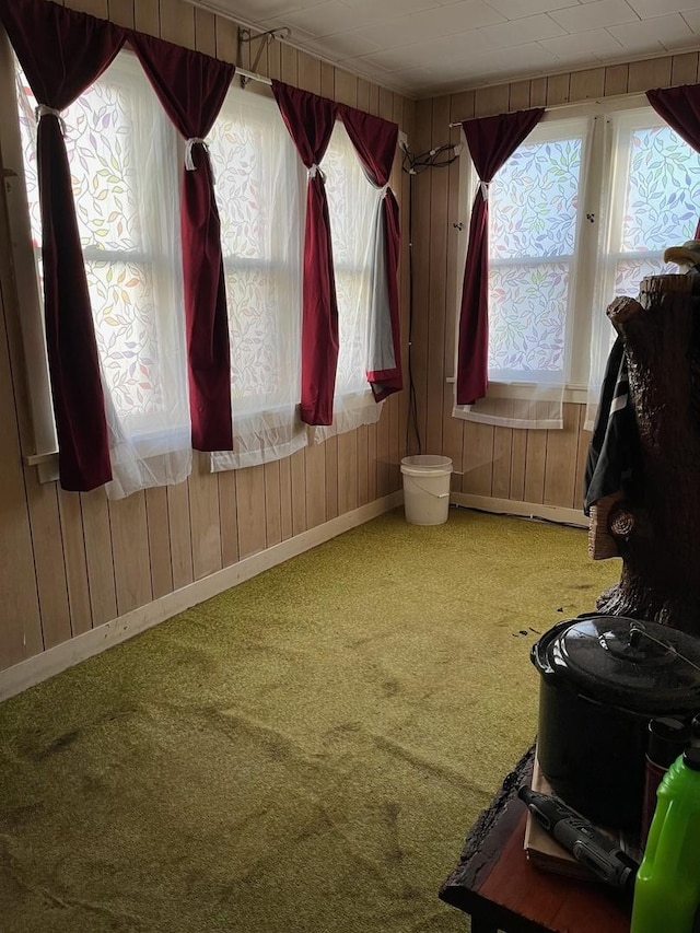 unfurnished room featuring carpet floors and wood walls