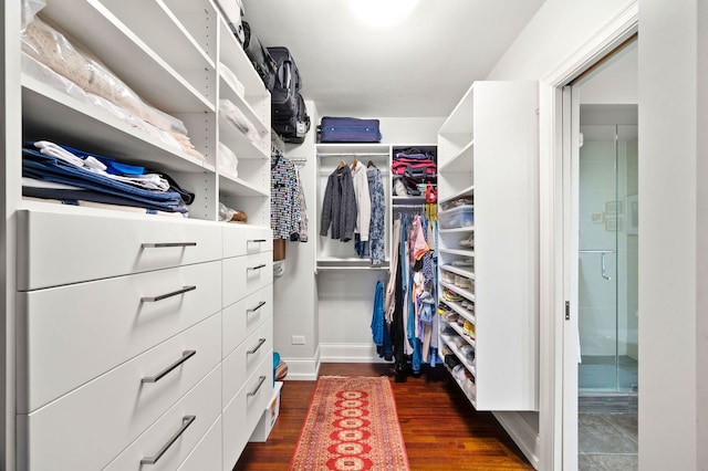 spacious closet featuring dark wood-type flooring