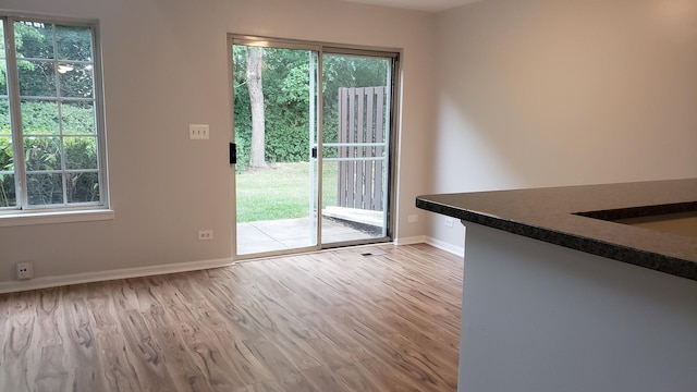 doorway featuring plenty of natural light and light wood-type flooring