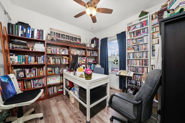 living area featuring hardwood / wood-style floors and ceiling fan