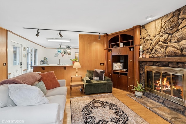 living room with light wood-style floors, rail lighting, crown molding, and a stone fireplace