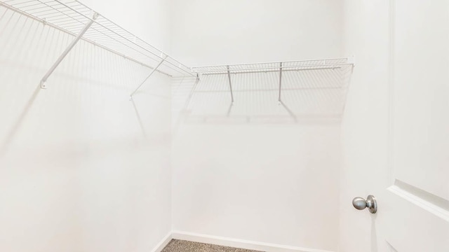 spacious closet featuring carpet floors