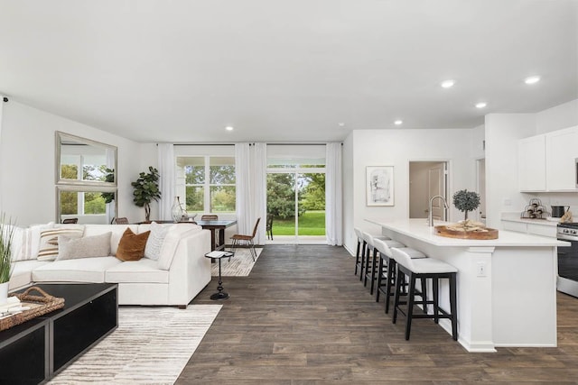 living room with dark wood-type flooring and sink