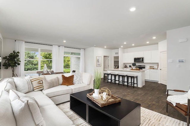 living room featuring dark hardwood / wood-style floors