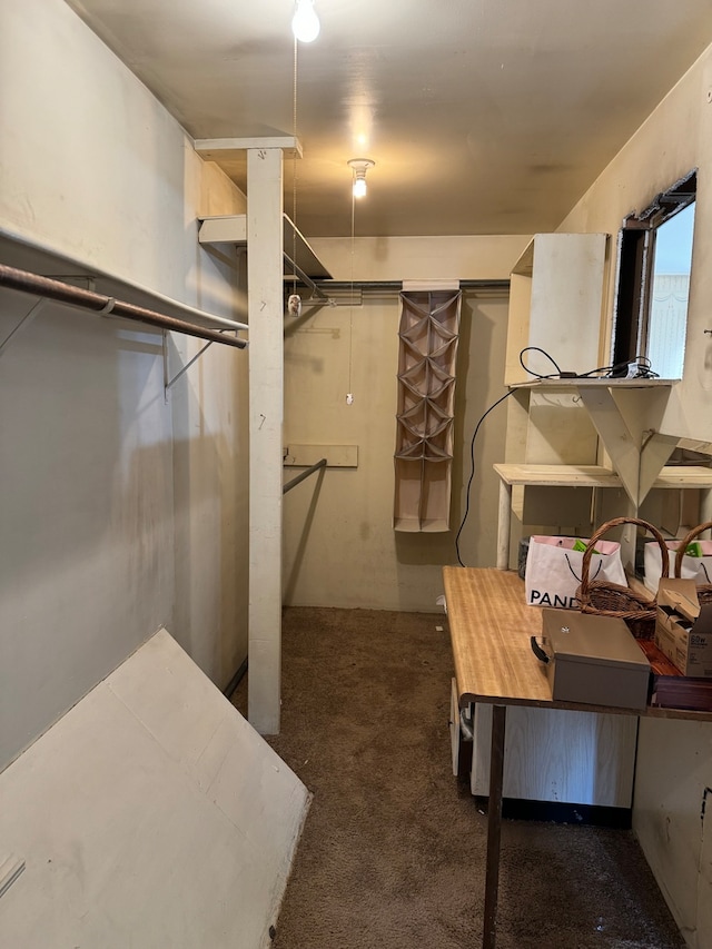 spacious closet featuring dark colored carpet