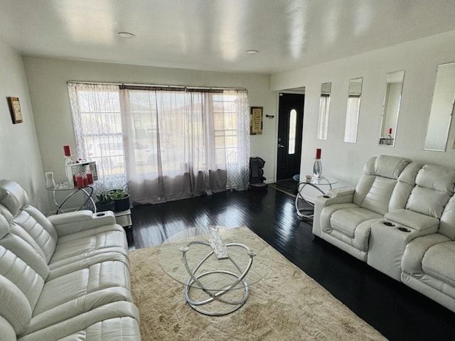 living room with a healthy amount of sunlight and dark hardwood / wood-style floors