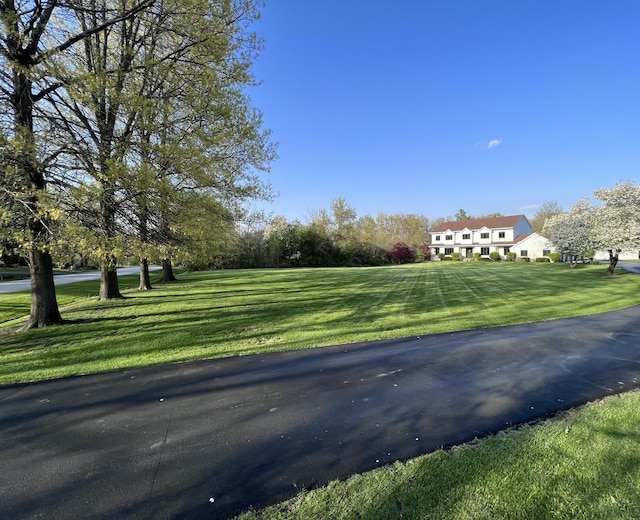 view of street featuring driveway