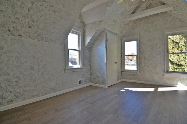 bonus room with lofted ceiling and hardwood / wood-style flooring