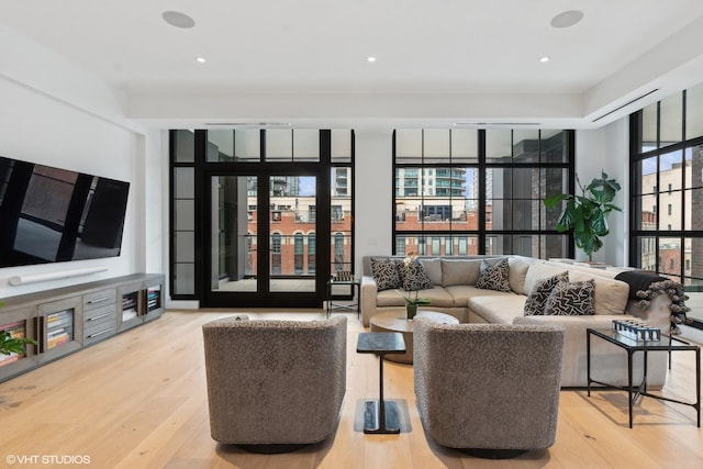 living area featuring a healthy amount of sunlight and light wood-style floors