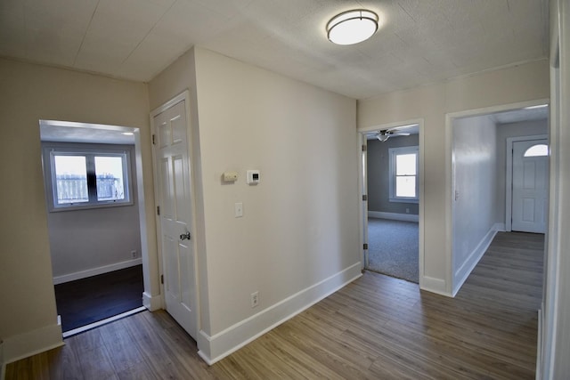 hall with baseboards and wood finished floors