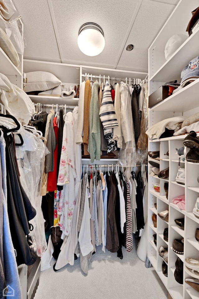 walk in closet with carpet flooring