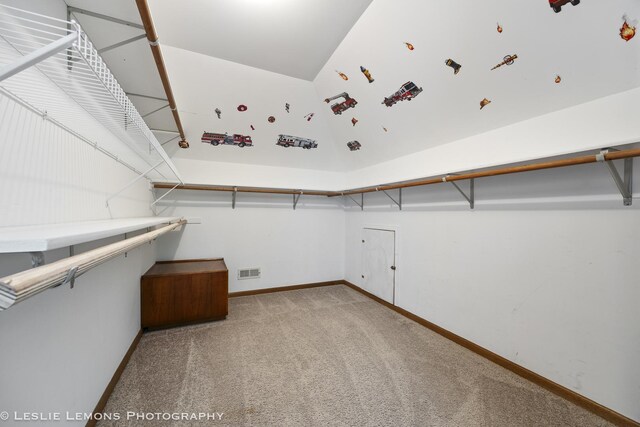 15022 S Woodcrest Ave, Homer Glen, IL 60491 - walk in closet with light colored carpet