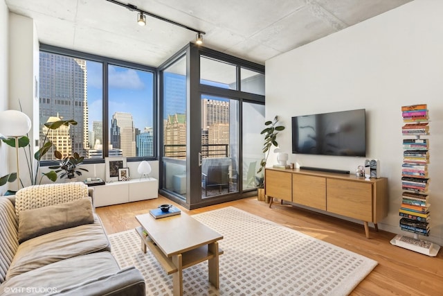 living room with plenty of natural light, expansive windows, and light wood-type flooring