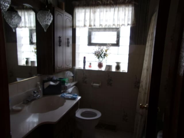 bathroom with vanity, a healthy amount of sunlight, and toilet