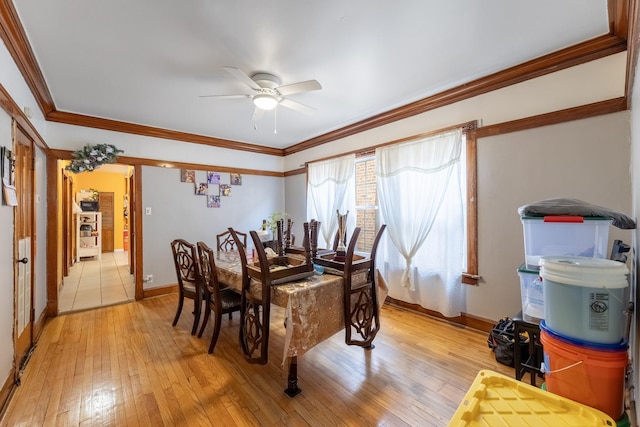 dining space with crown molding, light hardwood / wood-style flooring, and ceiling fan