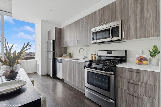 kitchen featuring dark hardwood / wood-style flooring, sink, and stainless steel appliances