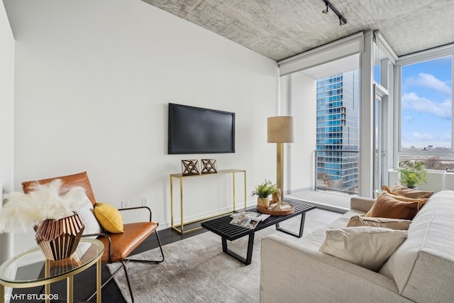 living room featuring hardwood / wood-style flooring, track lighting, and floor to ceiling windows