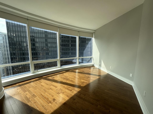 unfurnished room featuring a wealth of natural light, expansive windows, baseboards, and wood finished floors