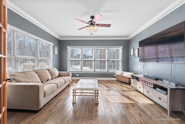 living room featuring baseboards, ceiling fan, hardwood / wood-style floors, and crown molding