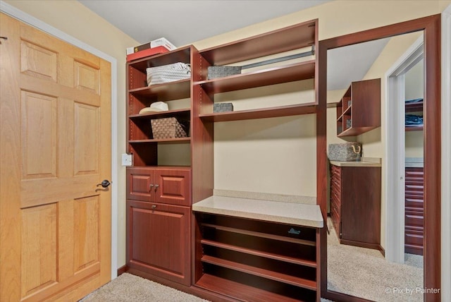 interior space with carpet floors