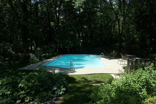 pool with a patio and a fenced backyard