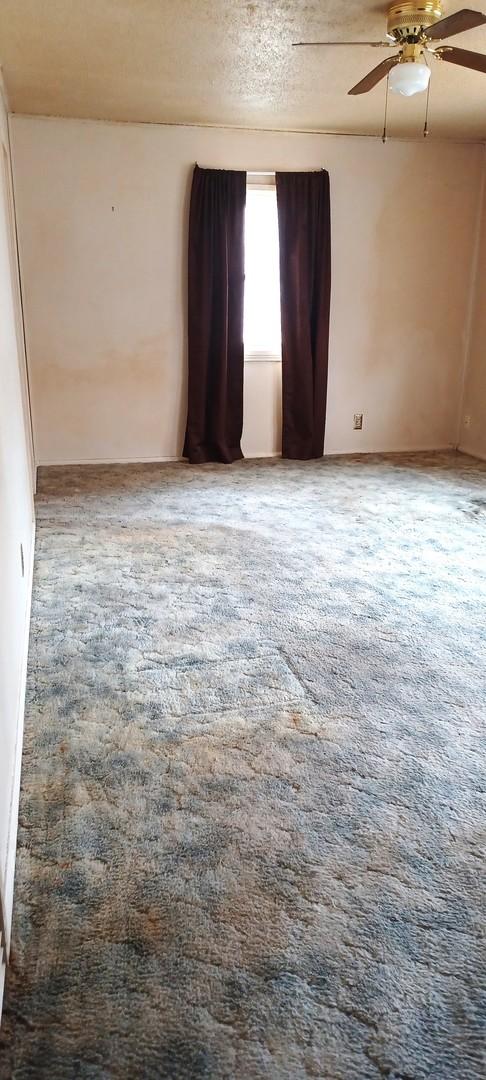 unfurnished room with ceiling fan, carpet, and a textured ceiling