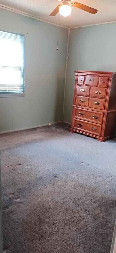 unfurnished bedroom with crown molding, ceiling fan, light carpet, and a textured ceiling