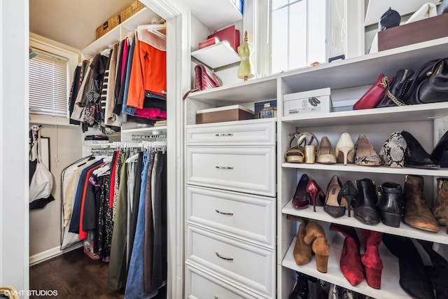 spacious closet with dark wood-style flooring