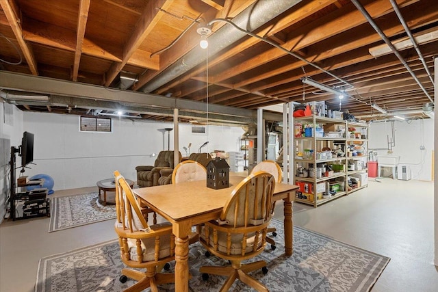 unfinished basement with a sink