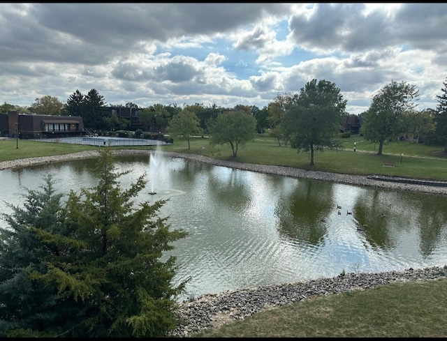 property view of water