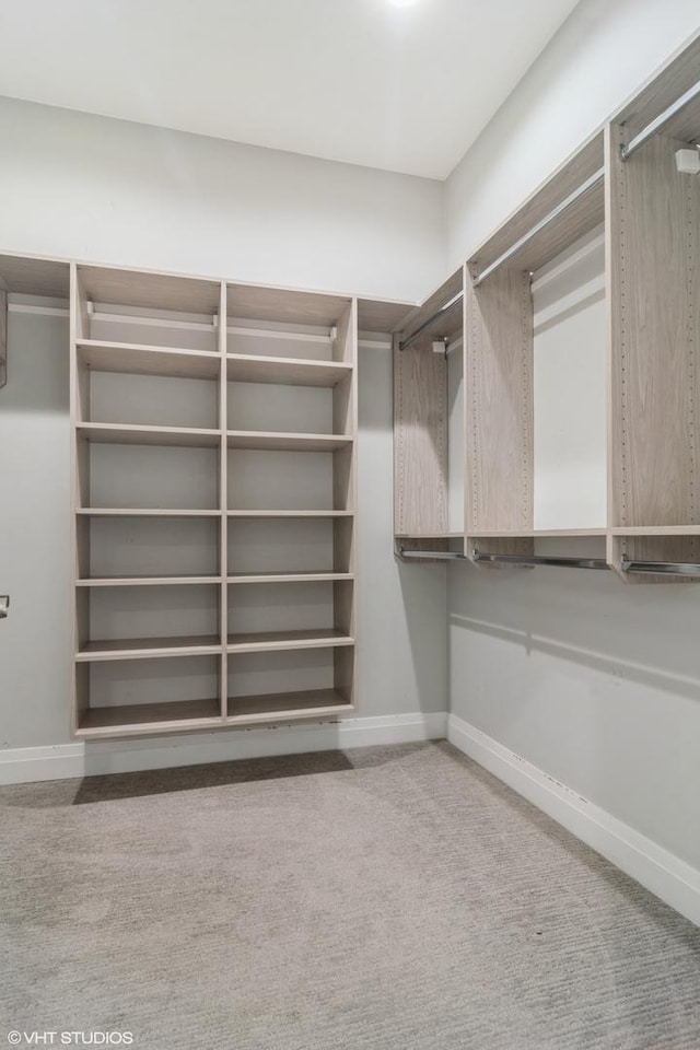 spacious closet featuring carpet floors