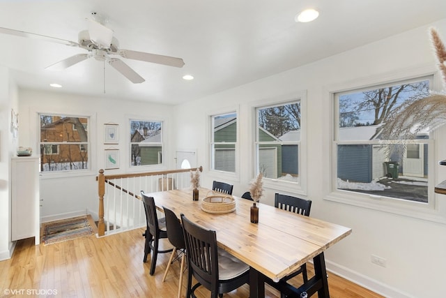 dining room with light hardwood / wood-style flooring