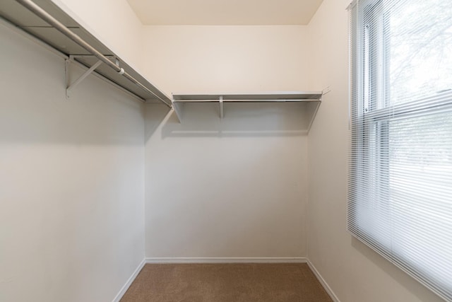 1308 7th Ct, Saint Charles, IL 60174 - photo 19