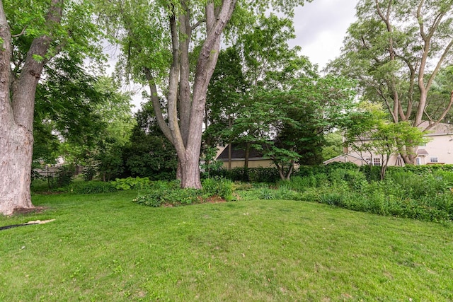 1308 7th Ct, Saint Charles, IL 60174 - photo 29