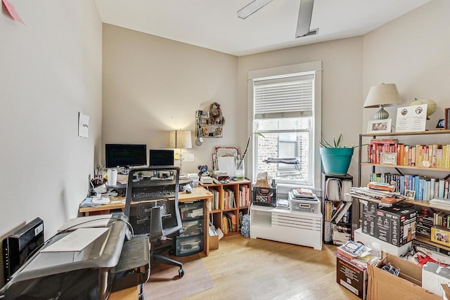 office with light wood finished floors and a ceiling fan