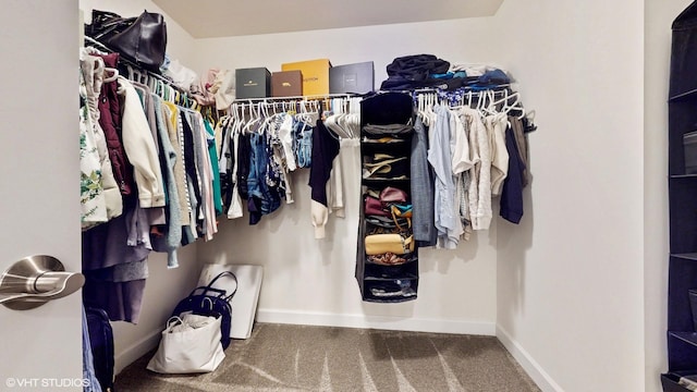 walk in closet featuring carpet