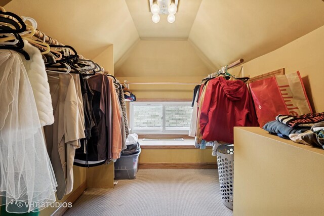 walk in closet featuring lofted ceiling and carpet flooring