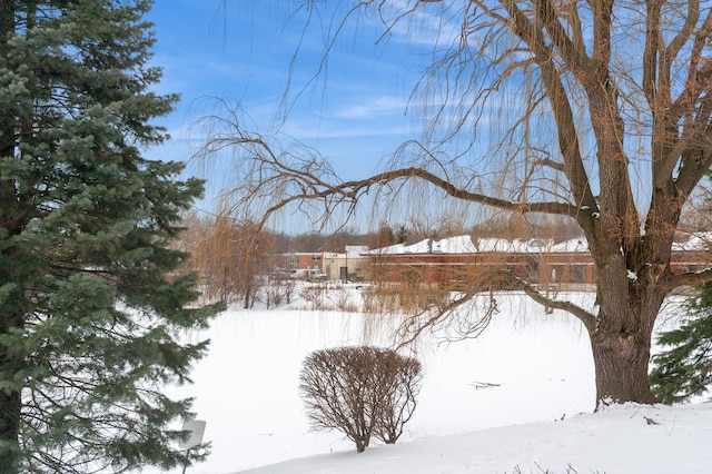 view of yard covered in snow