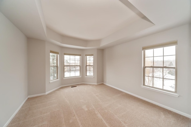 carpeted empty room featuring a raised ceiling