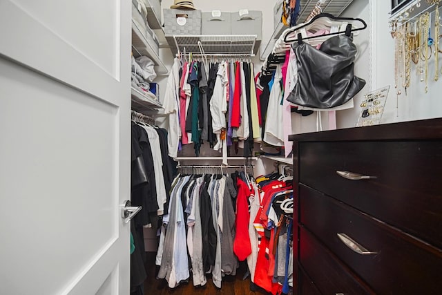 view of spacious closet