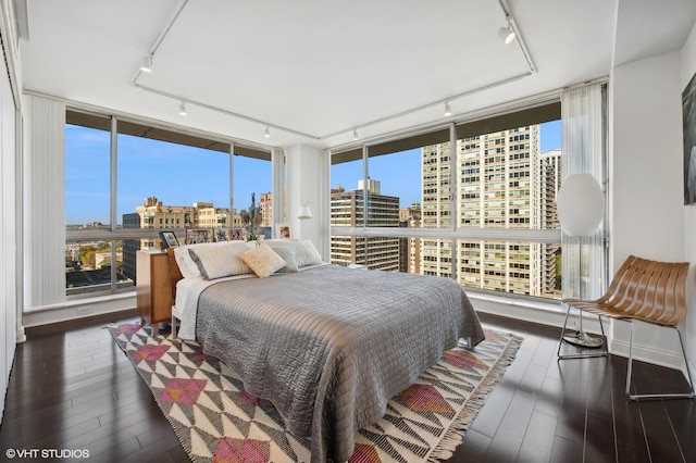 bedroom featuring multiple windows, dark wood-type flooring, and rail lighting