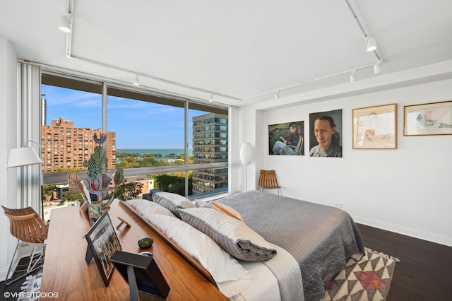 bedroom featuring track lighting, dark hardwood / wood-style floors, and expansive windows