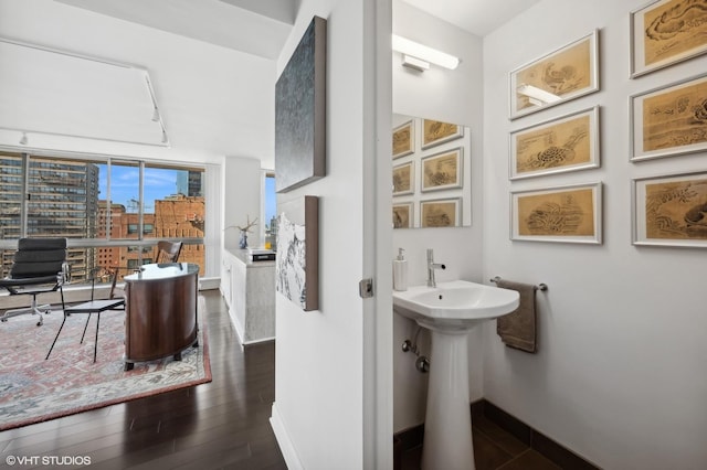 bathroom with sink and hardwood / wood-style flooring