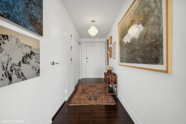 entryway with dark wood-type flooring